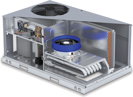 X-Vane_Cutaway300ppi