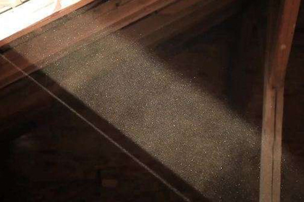 Visible dust in sunlight