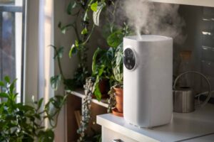 air cleaner